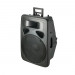 15'' 2way Plastic DJ Speaker Box with USB SD FM Blue Tooth (PS-1015BT)