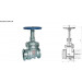 15 Inch Check Valve