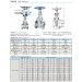 200 Psi Screw Stainless Steel Threaded Gate Valve (304/316)