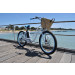 36V 250W Australian Compliant Beach Cruiser Electric Bikes for Female