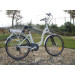 36V 250W Cheap Electric Bike for Sale