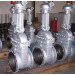 API 16D Cast Steel Gate Valve