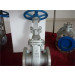 API Standard Stainless Steel Gate Valve