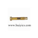 Anchor Bolt with Brass/Carbon Steel/Aluminum/ Stainless Steel (HY-J-C-121)