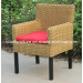 Arm Chair with Powder Coated Feet