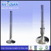 Auto Engine Valves for Vessel/Ship 45gf (Deutz Motor)