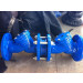 Backflow Prevention Device Valve