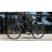 Beautiful En15194 250W Woman Electric Bicycle China for Sale