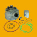 Best Quality Motorbike Cylinder, Motorcycle Cylinder for Ss8020