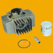 Best Sale Motorbike Cylinder, Motorcycle Cylinder for Ss8023