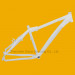 Bike Frame, Bicycle Frame for Sale Tim-FM919