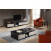 Black Modern Wooden Coffee Table (CJ-2021)