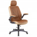 Brown Modern Leather Chair Executive Chair Office Chair (FS-8506)