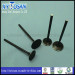 CD70 CD1 Motorcycle Engine Valve for Honda (OEM 14711-036-000&KK151-12-121)