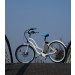 CE Approved 36V 250W Green Power City Electric Charging Bikes for Sale