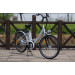 CE En 15194 36V 250W Green Power City E Bike