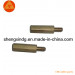 CNC Pin Follower Screw Bolt Pin Copper Parts (SX144)