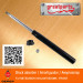 Car Shock Absorber for Mitsubishi Sigma Auto Shock Absorber