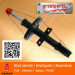 Car Shock Absorber for Renault Modus Auto Shock Absorber