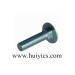 Carriage Bolt with Zinc/Aluminum/Carbon Steel/Stainless Steel (HY-J-C-118)