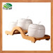 Ceramic Spice Jar Set