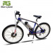 Cheap 250W Hot Sale 26'' Bottle Battary Man Electric Bike