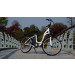 Cheap En15194 Various Color Customization City Eletric Bicycle for Sale (TDB01Z-633)