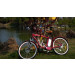 Cheap High Quality Red Disc Brake Man Beach Cruzer