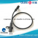 Crankshaft Pistion Sensor for Volvo Truck (OEM# 13674684)