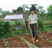DC Solar Water Pump for Flower