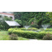 DC Solar Water Pump for Fountain
