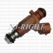 Denso Fuel Injector Fbjb101 for Nissan