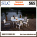 Designer Outdoor Furniture/Fashionable Outdoor Furniture/Aluminium Design Outdoor Furniture (SC-B8877)