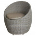 Dining Furniture Modern Ranttan Wicker Dining Chair (S285)