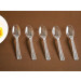 Disposable Spoon PS Spoon Plastic Spoon