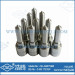 Dlla82p1668 0433172024 Common-Rail Bosch Diesel Nozzle for Mitsubishi Kobelco Jmc