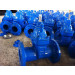 Dn100 Dark Rod Sealing German Standard F5 Gate Valve