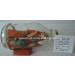 Drift Glass Bottle Wooden Decoration Marine Gifts (DA108)