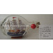 Drift Glass Bottle Wooden Decoration Marine Gifts (DF0605-2)