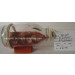 Drift Glass Bottle Wooden Decoration Marine Gifts (DF109)