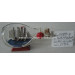 Drift Glass Bottle Wooden Decoration Marine Gifts (DF895-8)
