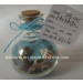 Drift Glass Bottle Wooden Decoration Marine Gifts (FS1121)