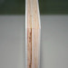 Easily Cleanable GRP Plywood Panel for Rigid Body
