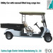 Electric Utility Car with Rear Steel Box (EG2046hcx)