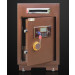 Electronic Safe Accepted Customized