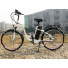 En15194 Europe Standard 36V 250W Electric Bike with Pedals