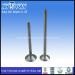 Engine M102 Intake&Exhaust Valves for Mercedes Benz 200/230/190