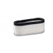Engine Parts Air Filter for Ford (493909)
