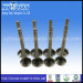 Engine Valve 1104/Mf385/Mf825/1000 Series for Perkins