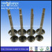 Engine Valve (Intake & Exhaust) for Hyundai H100 (for Mitsubishi 4D56)